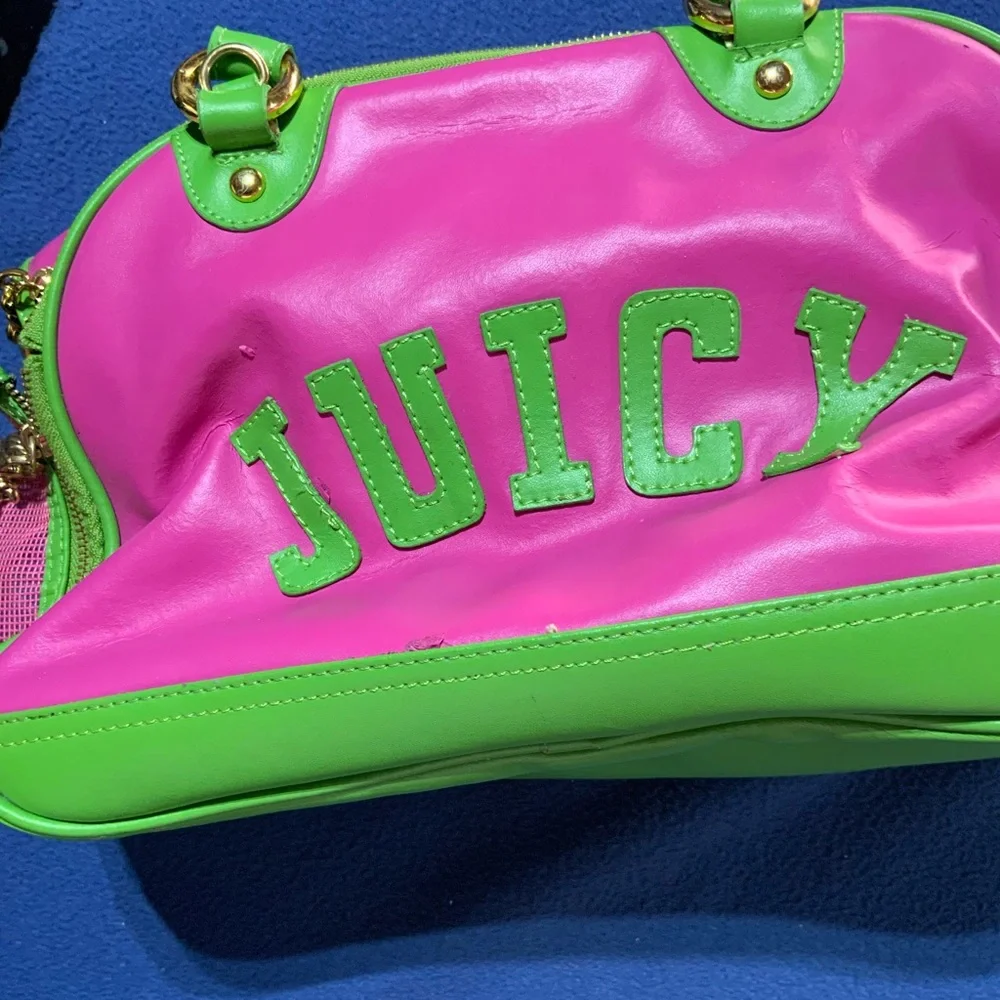 Juicy pink and green small  pet carrier bag with strap preowned